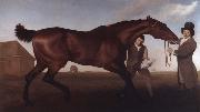 George Stubbs Hambletonian, Rubbing Down oil painting reproduction